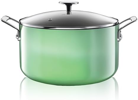 Nonstick Dutch Oven with Lid