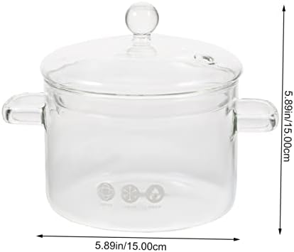 High Borosilicate Glass Stockpot with Double Handles and Lid