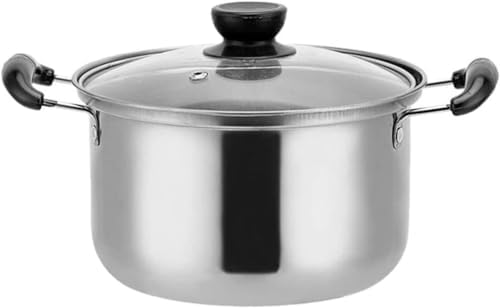 AttreX Silver Noodles Pot 23 CM Stockpot