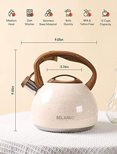 27 Quart Stainless Steel Tea Kettle