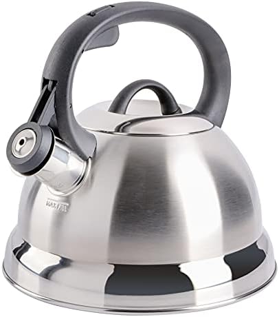 Perfect 175-Quart Stainless Steel Tea Kettle by Mr Coffee