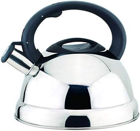 Durable stainless steel stovetop tea kettle with nylon handle