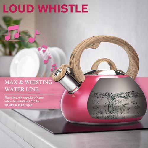 Hauce Radio Tea Kettle