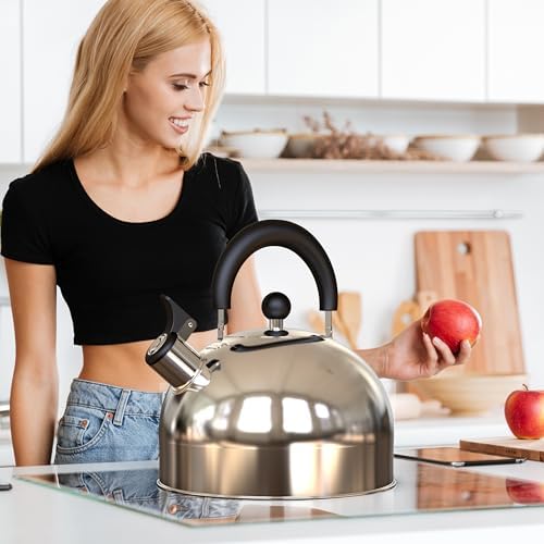 YSSOA Whistling Stainless Steel Tea Kettle