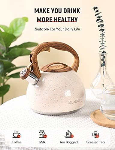 27 Quart Stainless Steel Tea Kettle