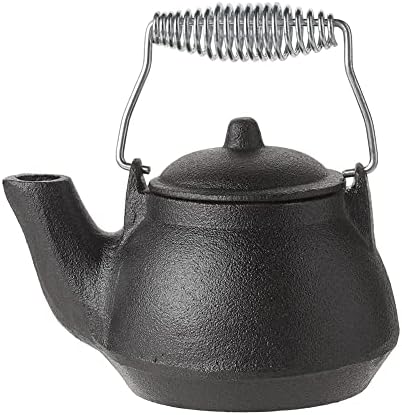 Measures Success - Compact Tea Kettle with Silver Handle