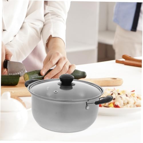 HD-Ready Pro-Grade Versatile Pan steam pot