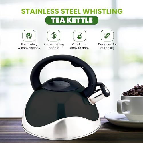 Stainless Steel Whistling Tea Kettle