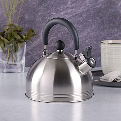 Mr Coffee Carterton Whistling Tea Kettle 15 Quart Mirror Polish