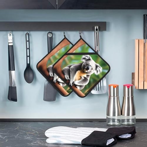 Funny Koalas Potholders BBQ Pot Holders Heat-Resistant with 2-Pack