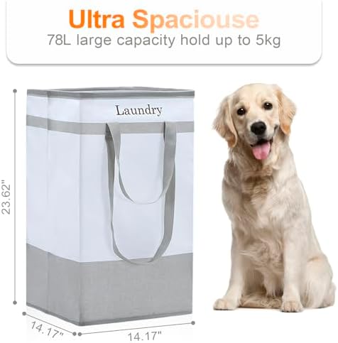 Two-Piece Collapsible Laundry Hamper for Bathroom Storage