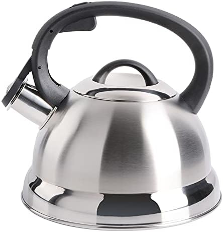 Perfect 175-Quart Stainless Steel Tea Kettle by Mr Coffee