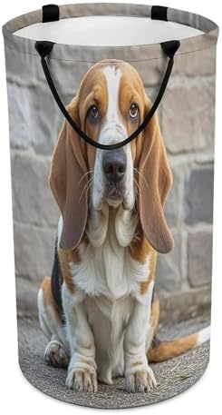 Variuable Waterproof Collapsible Basset Hound Basket for Space-Saving Storage
