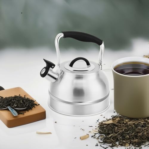 3 Quart Steel Tea Kettle for Home Use
