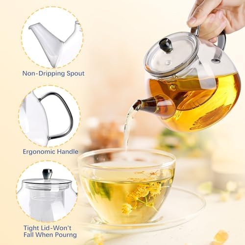 GlazzKraft Glass Teapot