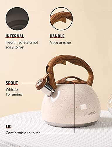 27 Quart Stainless Steel Tea Kettle