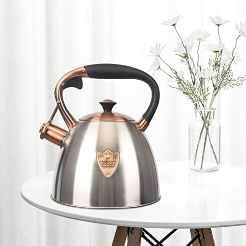 Stainless Steel Tea Kettle 29 Quart