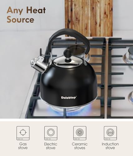 Premium Stainless Steel Tea Kettle for Stove Top