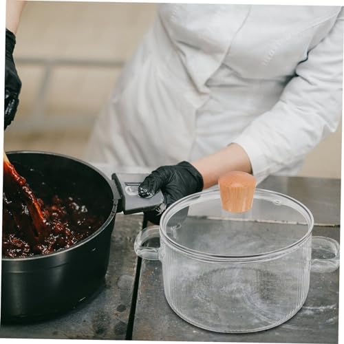 Glass Cooking Pot with Lid