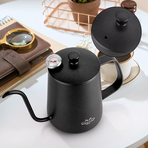 MERMOO YILAN Gooseneck Coffee Kettle 21oz Silver