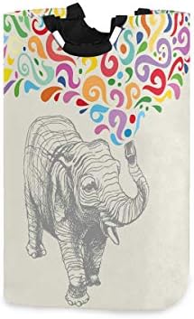Elephant Colorful