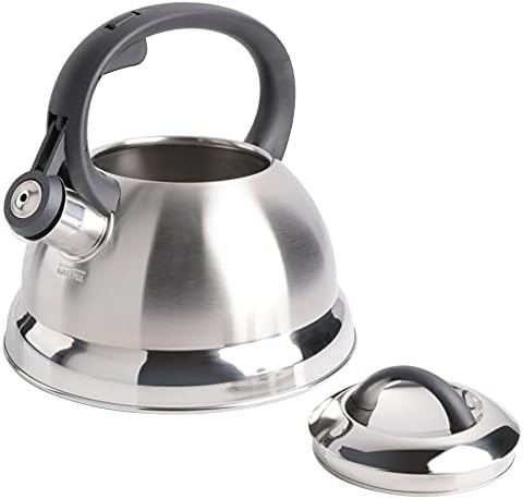 Perfect 175-Quart Stainless Steel Tea Kettle by Mr Coffee