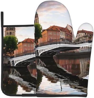 Dublin Ireland Penny Bridge Pot Holder Oven Mitt Set