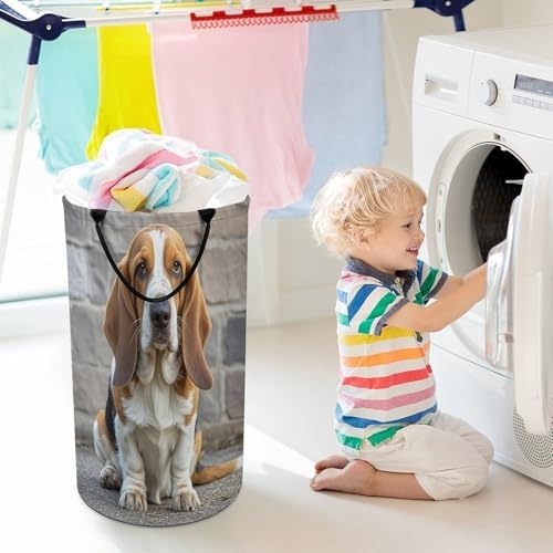 Variuable Waterproof Collapsible Basset Hound Basket for Space-Saving Storage