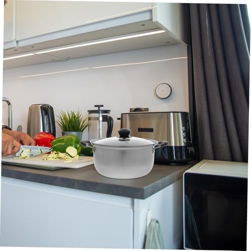 HD-Ready Pro-Grade Versatile Pan steam pot