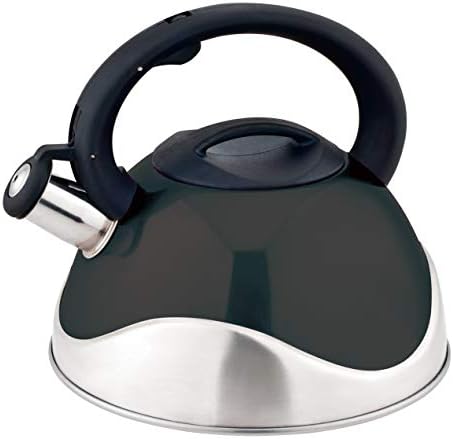 Stainless Steel Whistling Tea Kettle