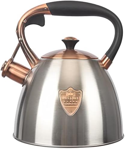 Stainless Steel Tea Kettle 29 Quart
