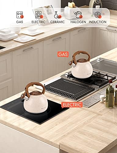 27 Quart Stainless Steel Tea Kettle