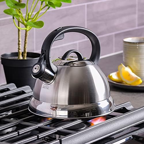 Perfect 175-Quart Stainless Steel Tea Kettle by Mr Coffee