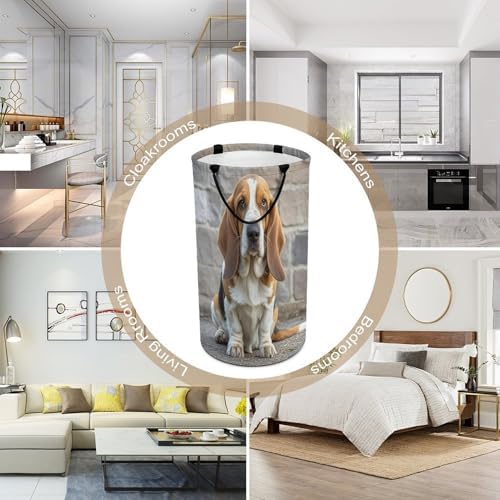 Variuable Waterproof Collapsible Basset Hound Basket for Space-Saving Storage