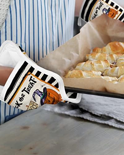 Halloween Spooky 5-Pack Pot Holder Set