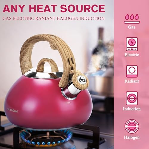 Hauce Radio Tea Kettle