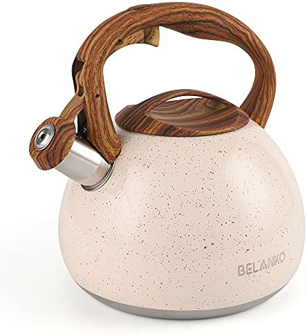 27 Quart Stainless Steel Tea Kettle
