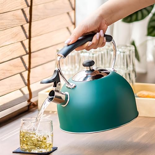 Drieamboat Tea Kettle Stovetop 3 Quart Whistling Tea Pot