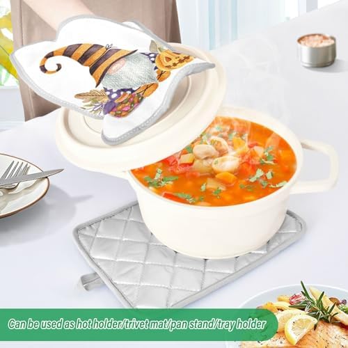 Halloween Gnome 2Pcs Pot Holder Set Heat Resistant