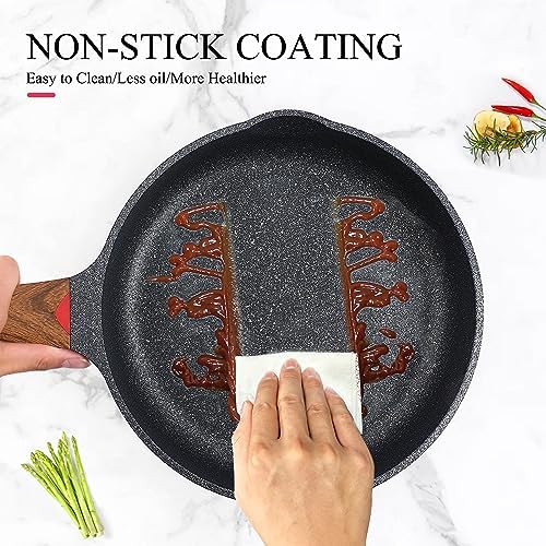 Vinchef 95-inch Nonstick Cast Aluminum Frying Pan