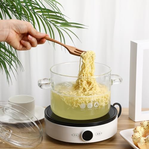 Hemoton Professional Glass Saucepan with Handle and Lid