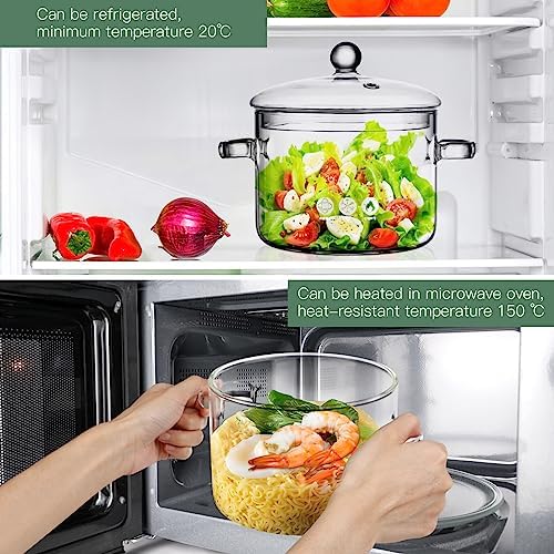 Hemoton Professional Glass Saucepan with Handle and Lid