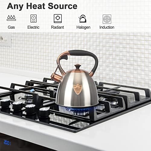 Stainless Steel Tea Kettle 29 Quart