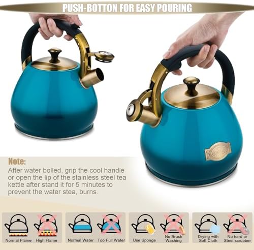 Lazneyru Stainless Steel Whistling Kettle 3 Quart
