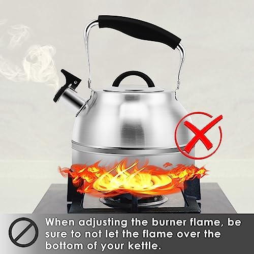 3 Quart Steel Tea Kettle for Home Use