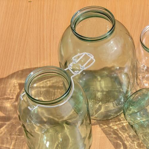 Wide Mouth Glass Jar Sealed Buckle Wire Clamp Silver