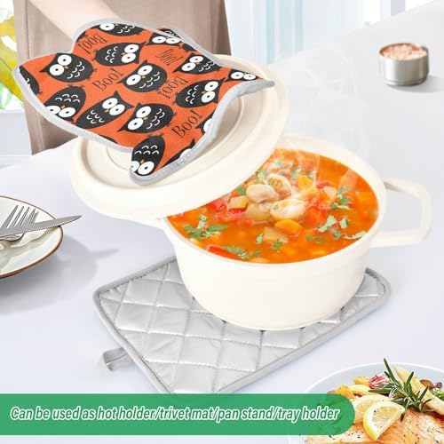 Carving out your Halloween spirit with OURVII 2-Piece Owl Potholders