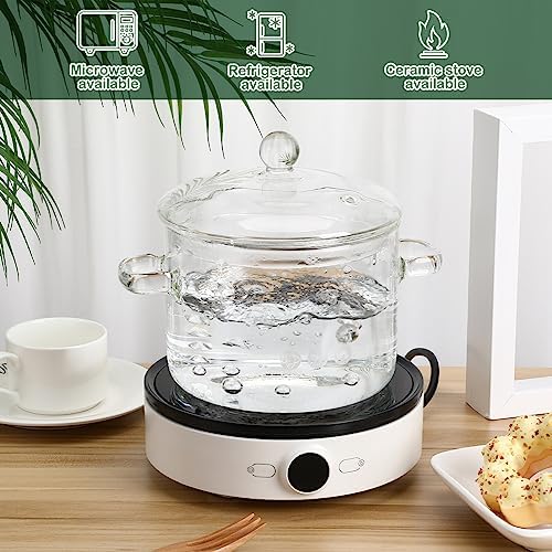 Hemoton Professional Glass Saucepan with Handle and Lid