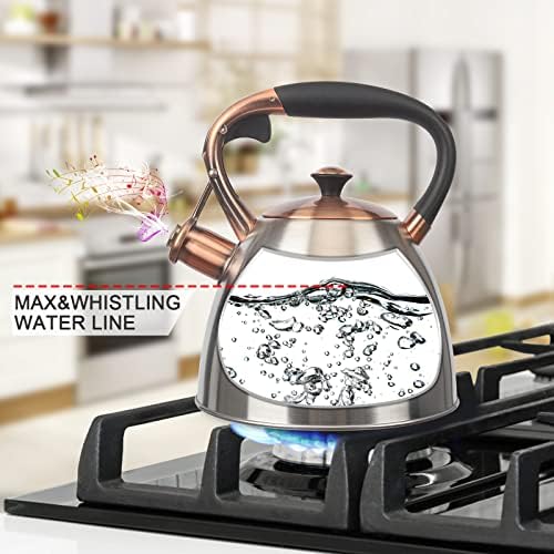 Stainless Steel Tea Kettle 29 Quart