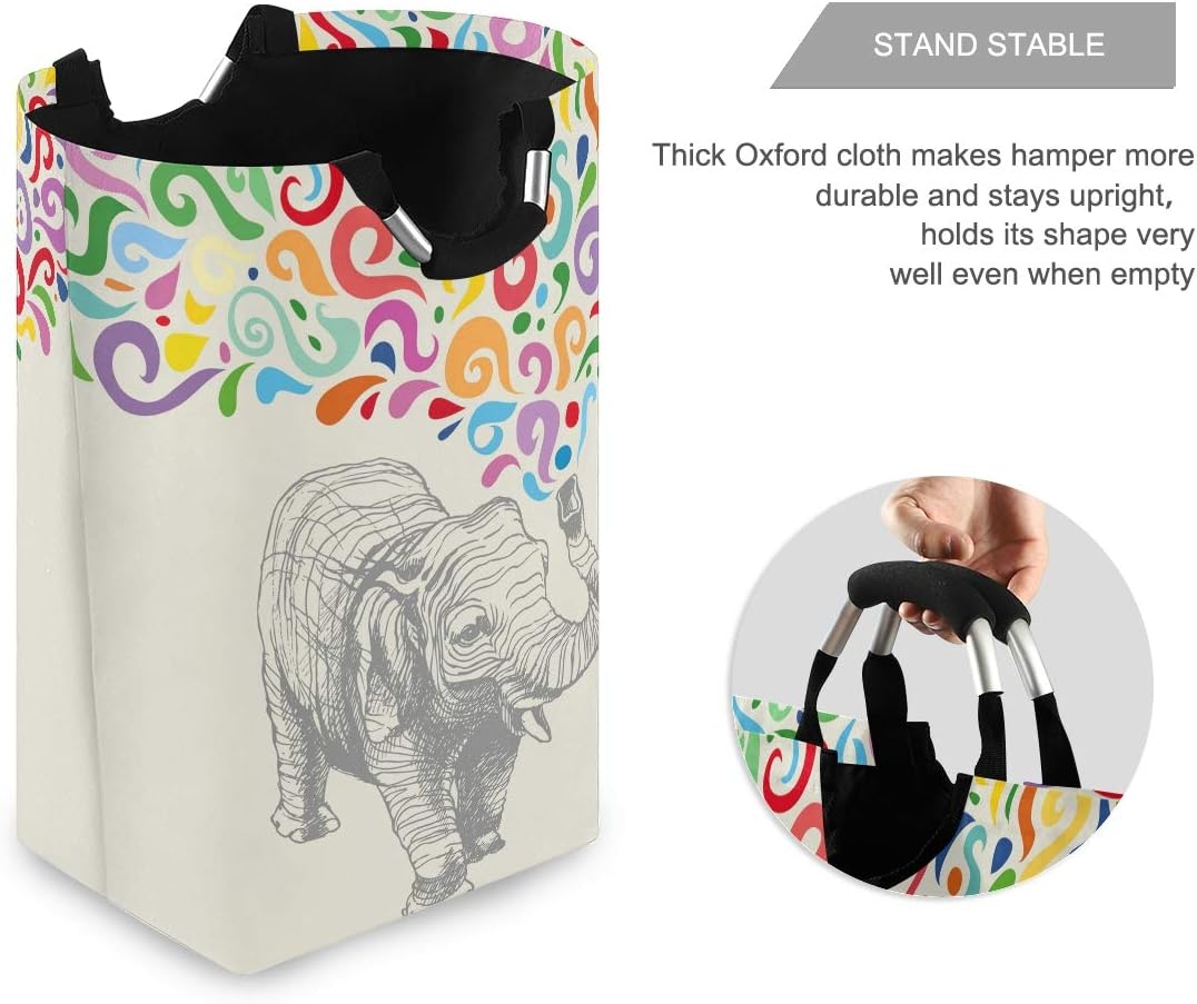 Elephant Colorful